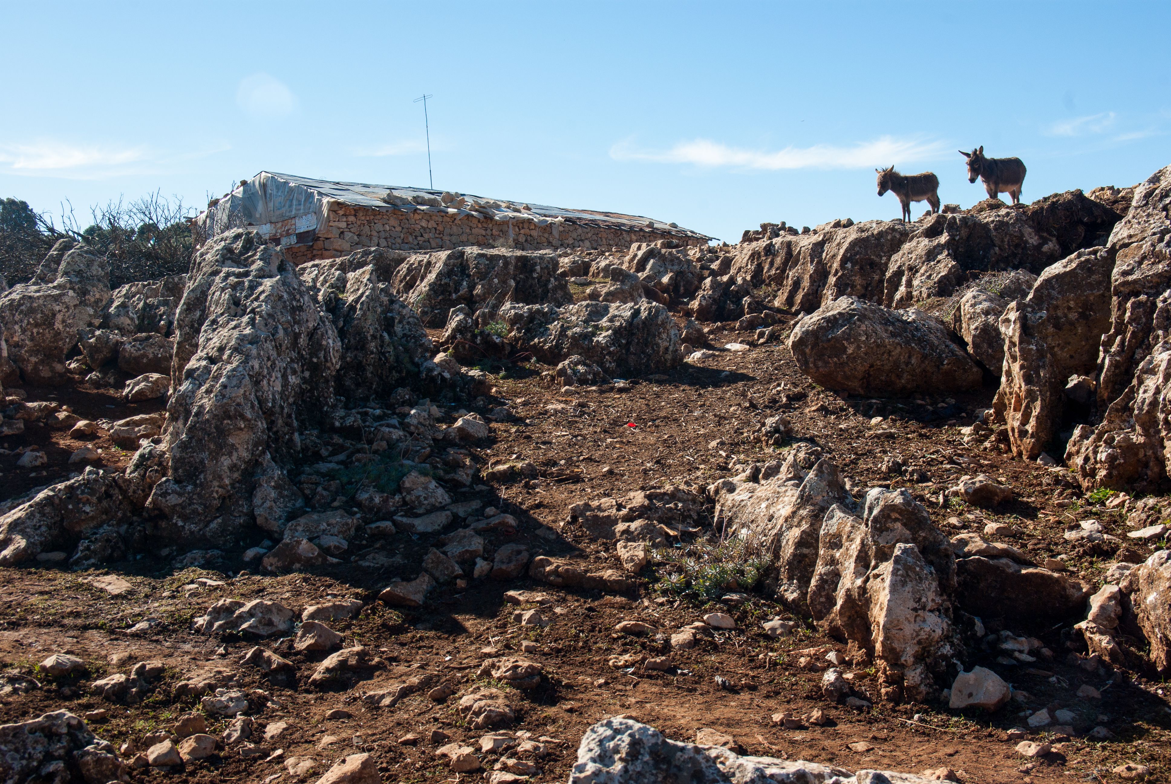 Randonnée à Ifrane