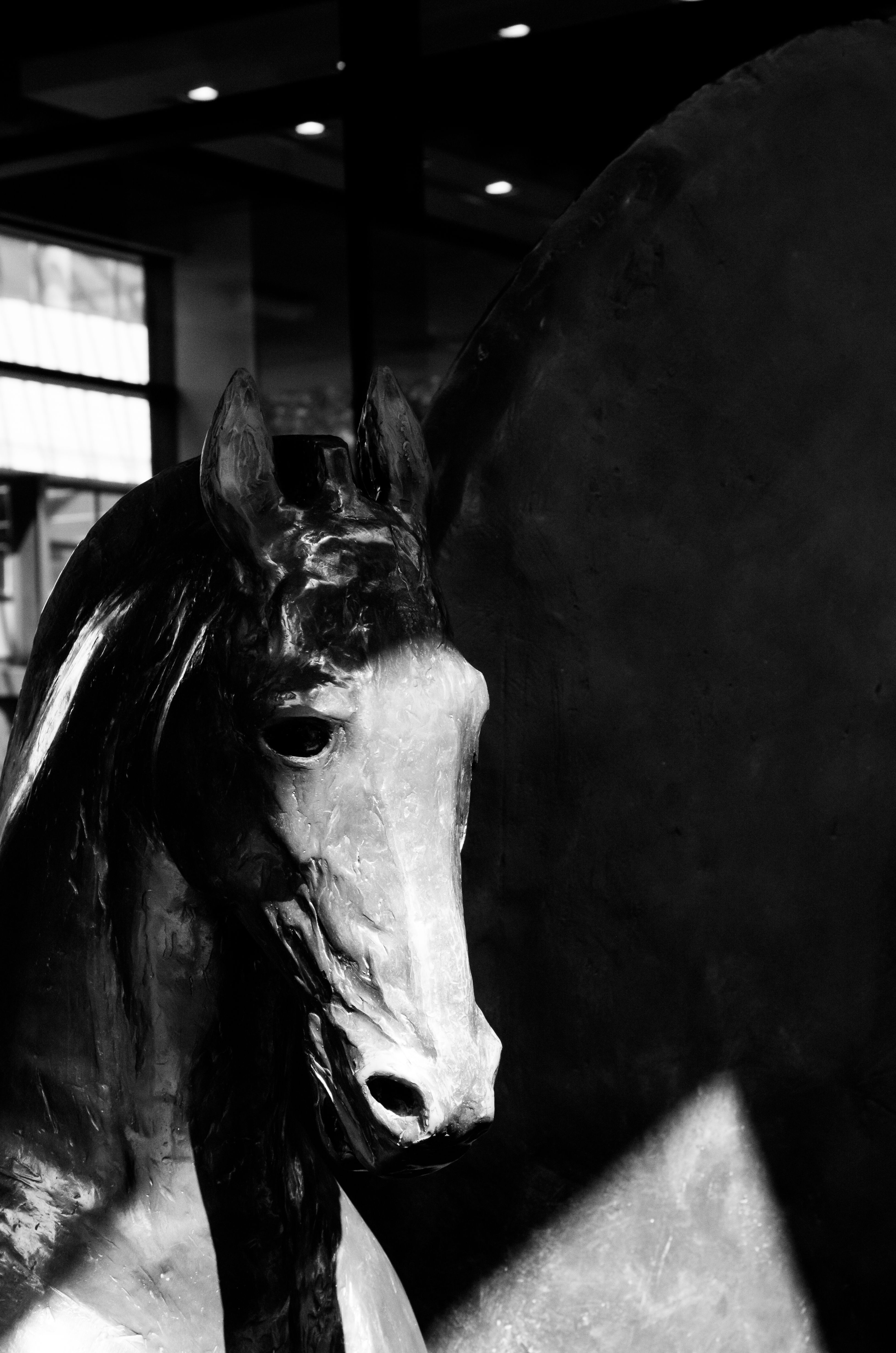 03 Inquietante monture