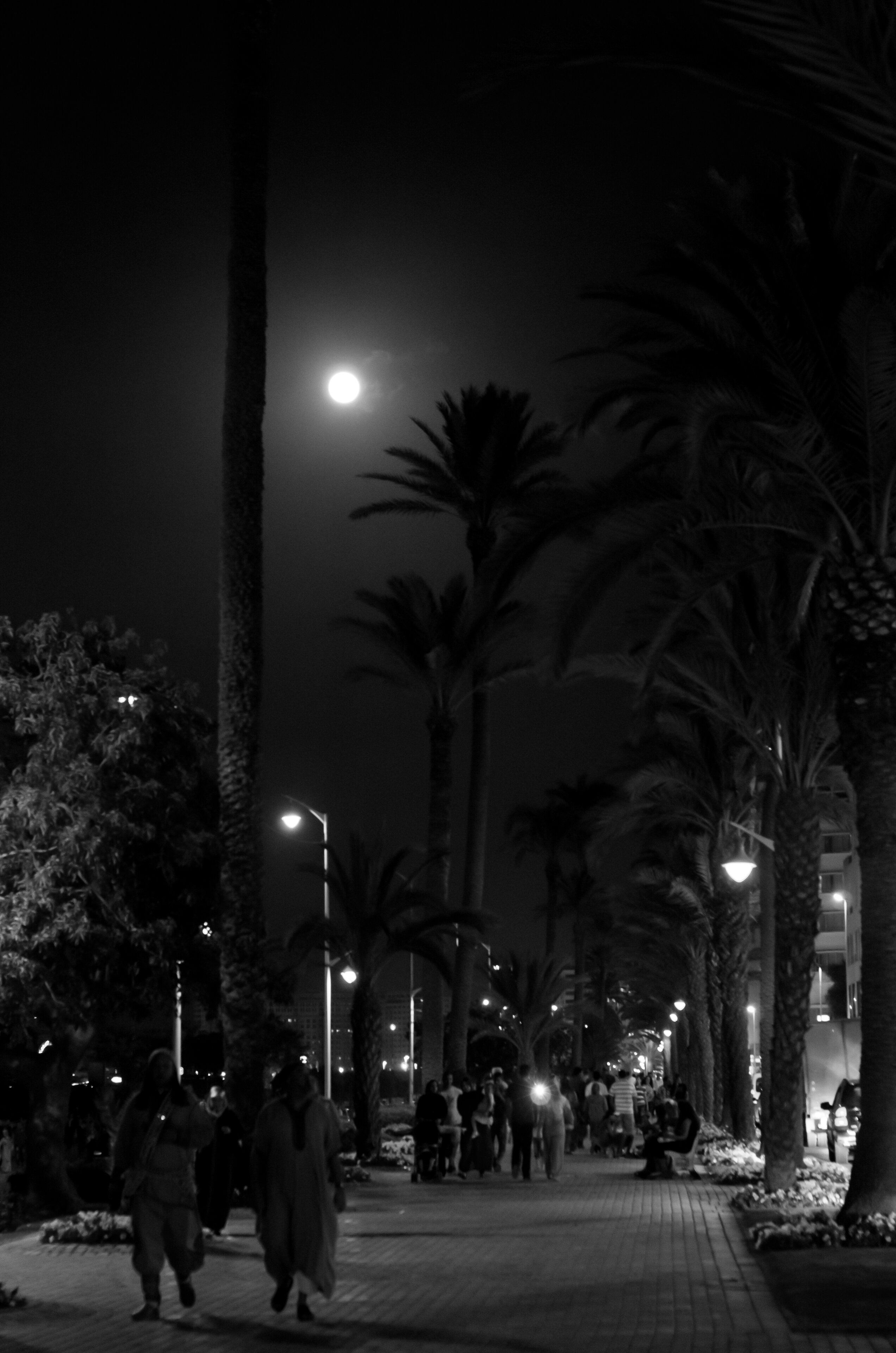 Supermoon on the strait
