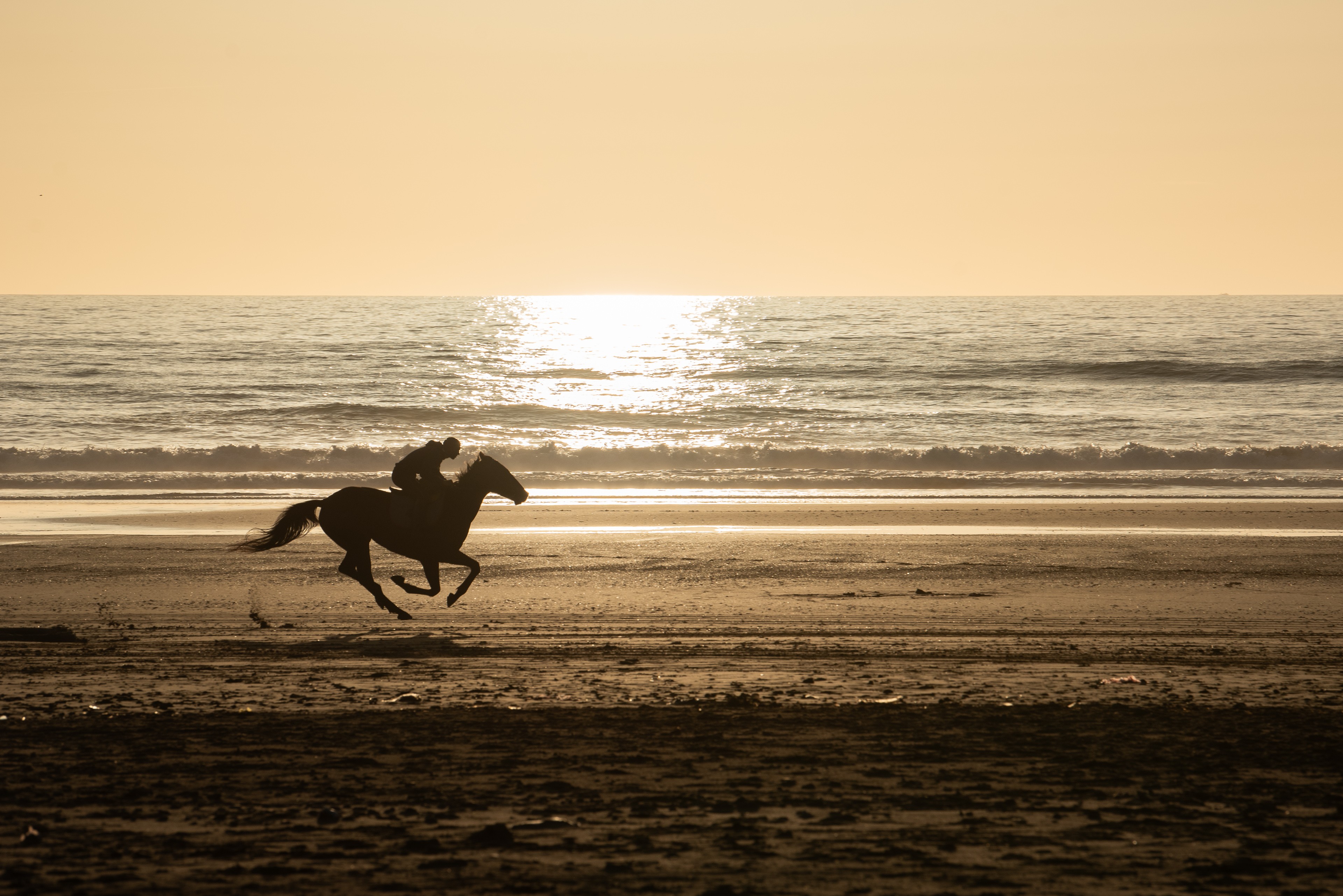 Galop au soleil couchant
