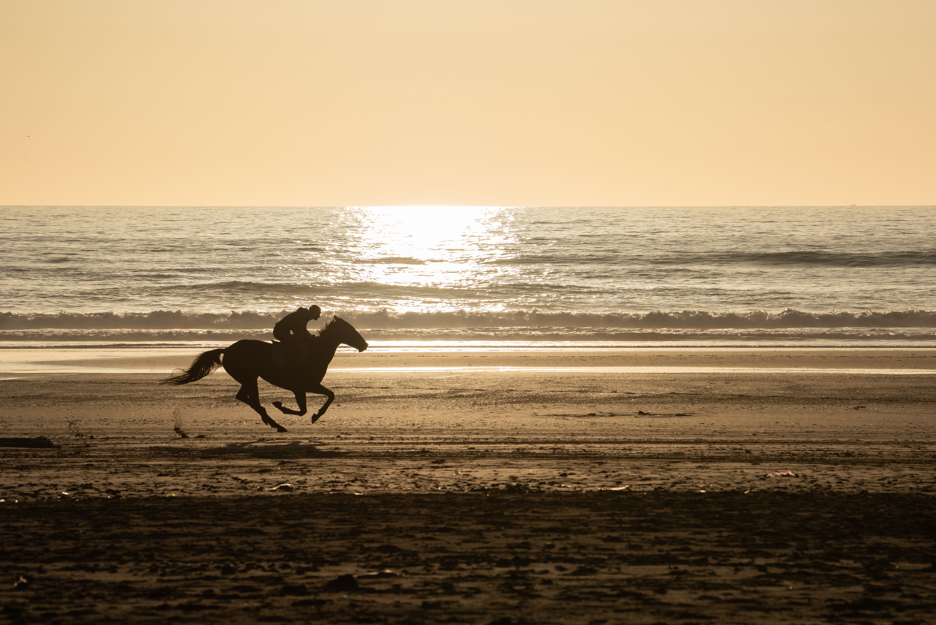 Galop au soleil couchant