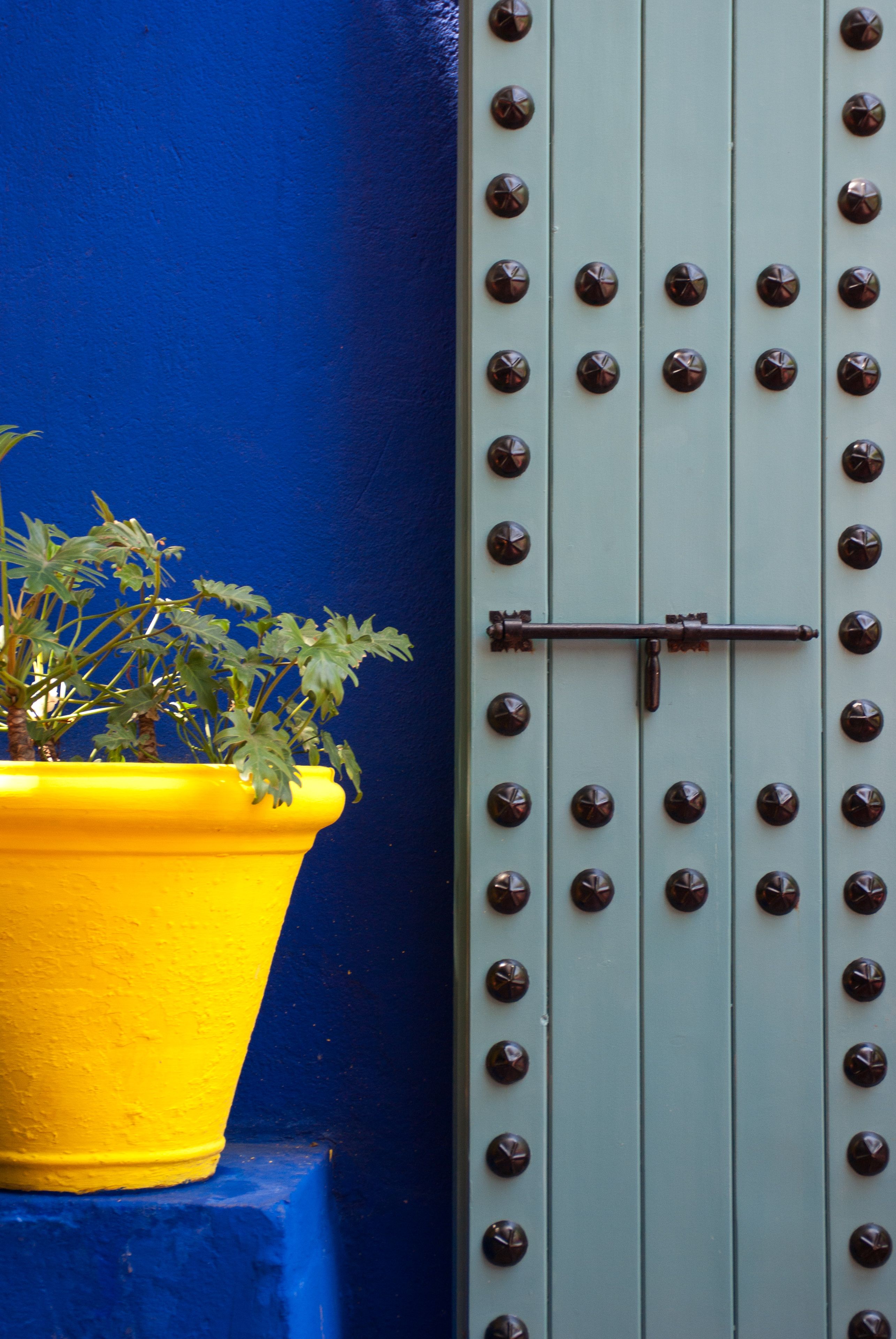 Jardin Majorelle, Marrakech