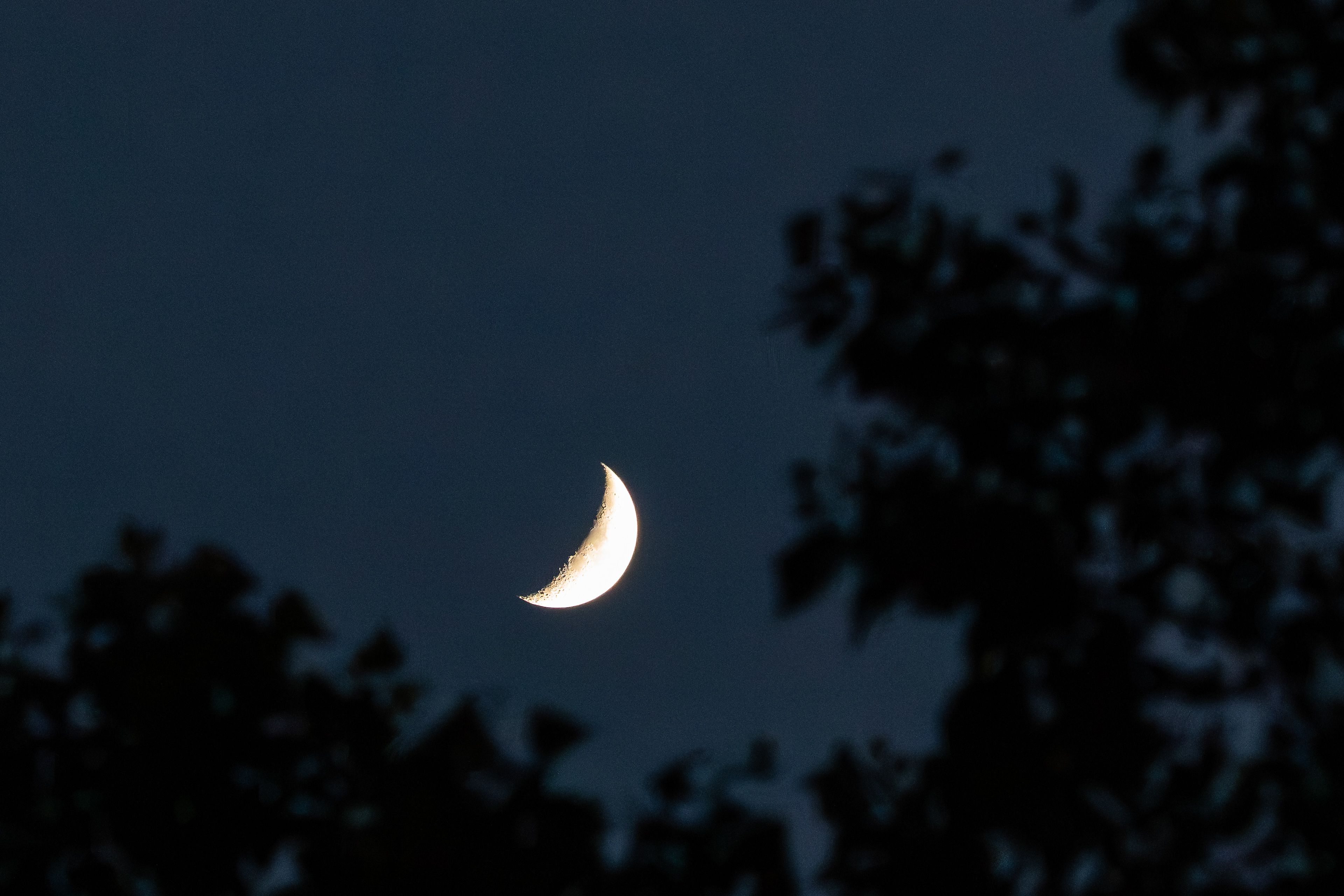 Les Secrets de la Nuit 079