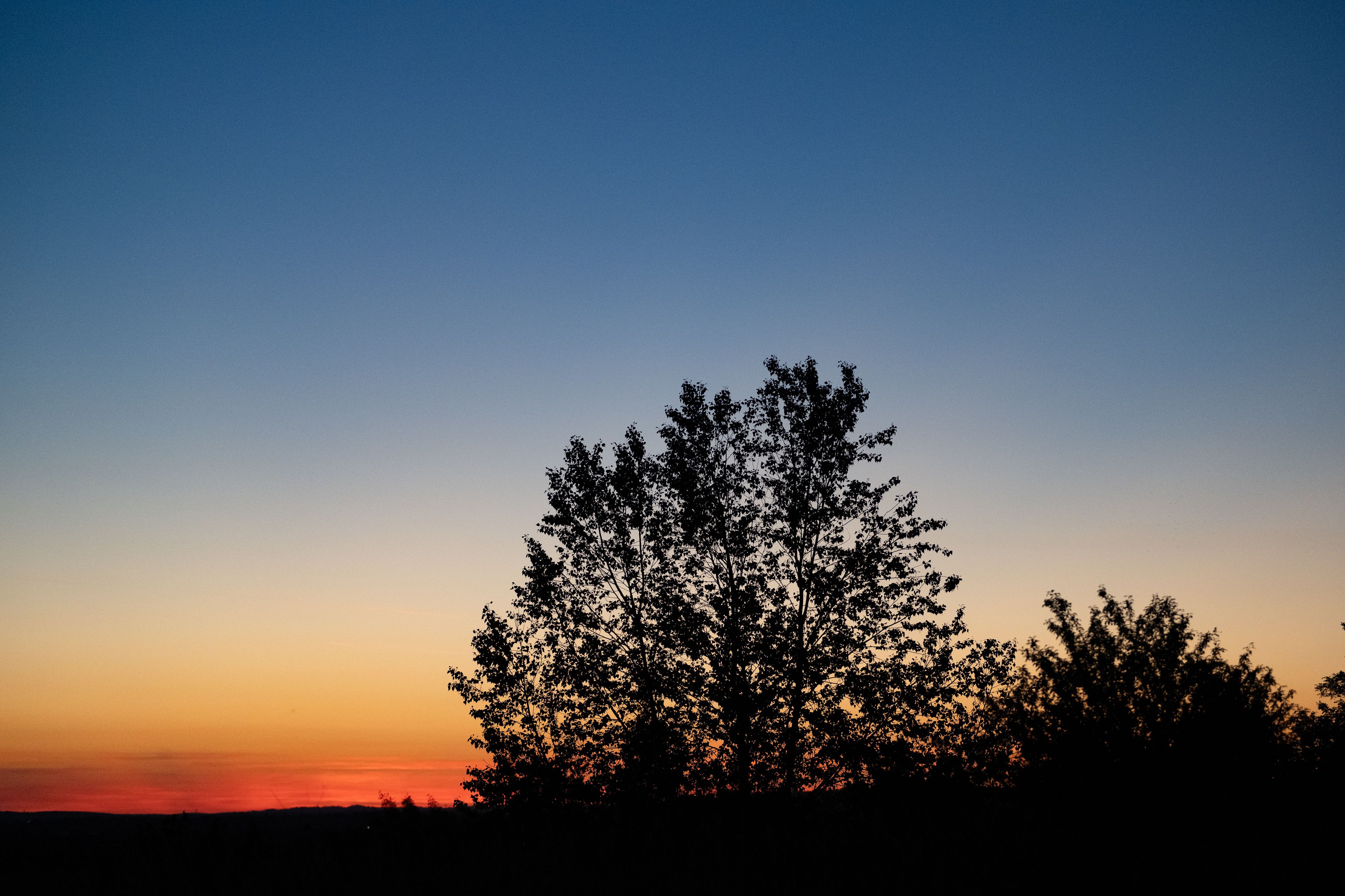Les Secrets de la Nuit 085