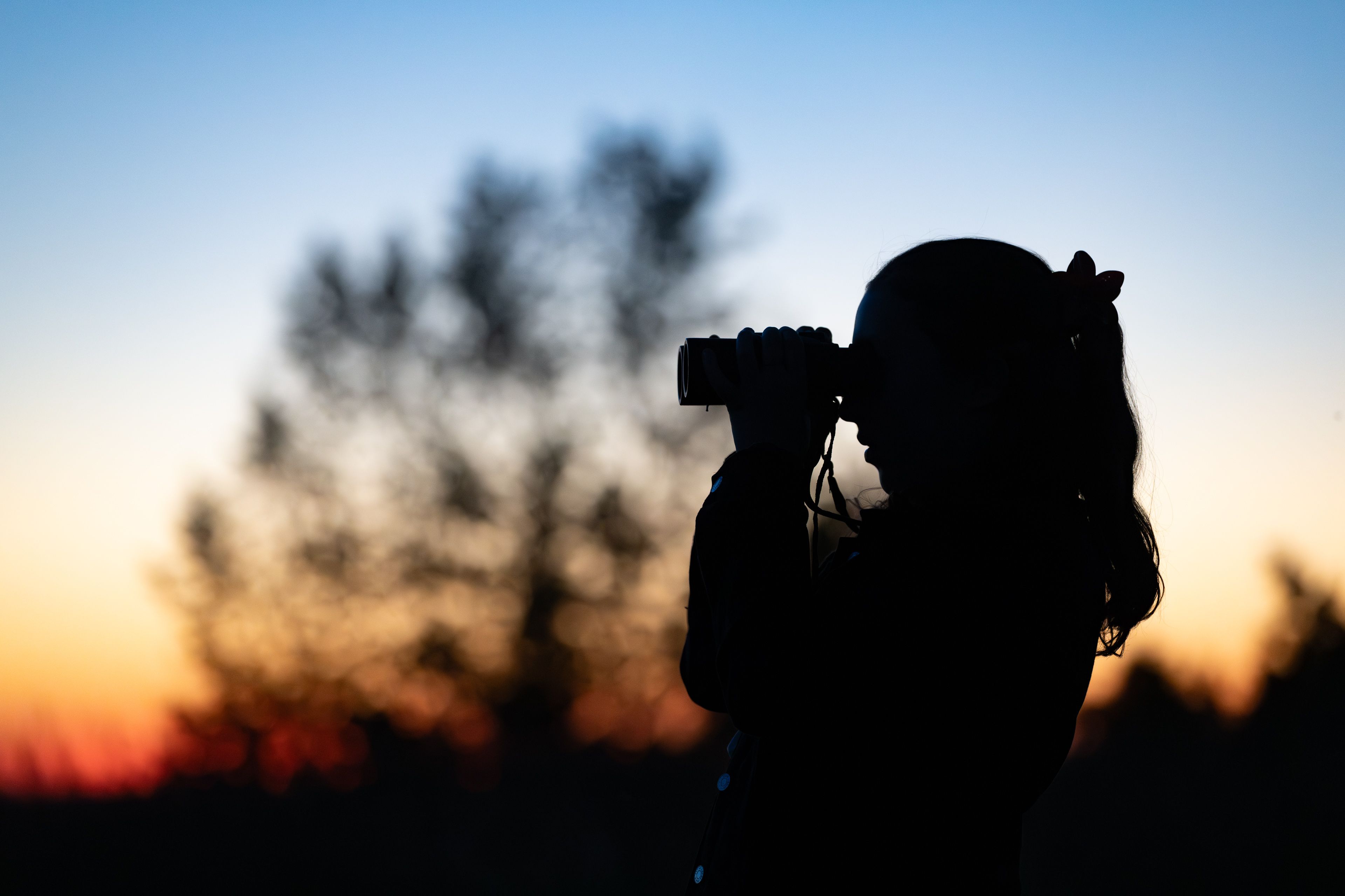 Les Secrets de la Nuit 086