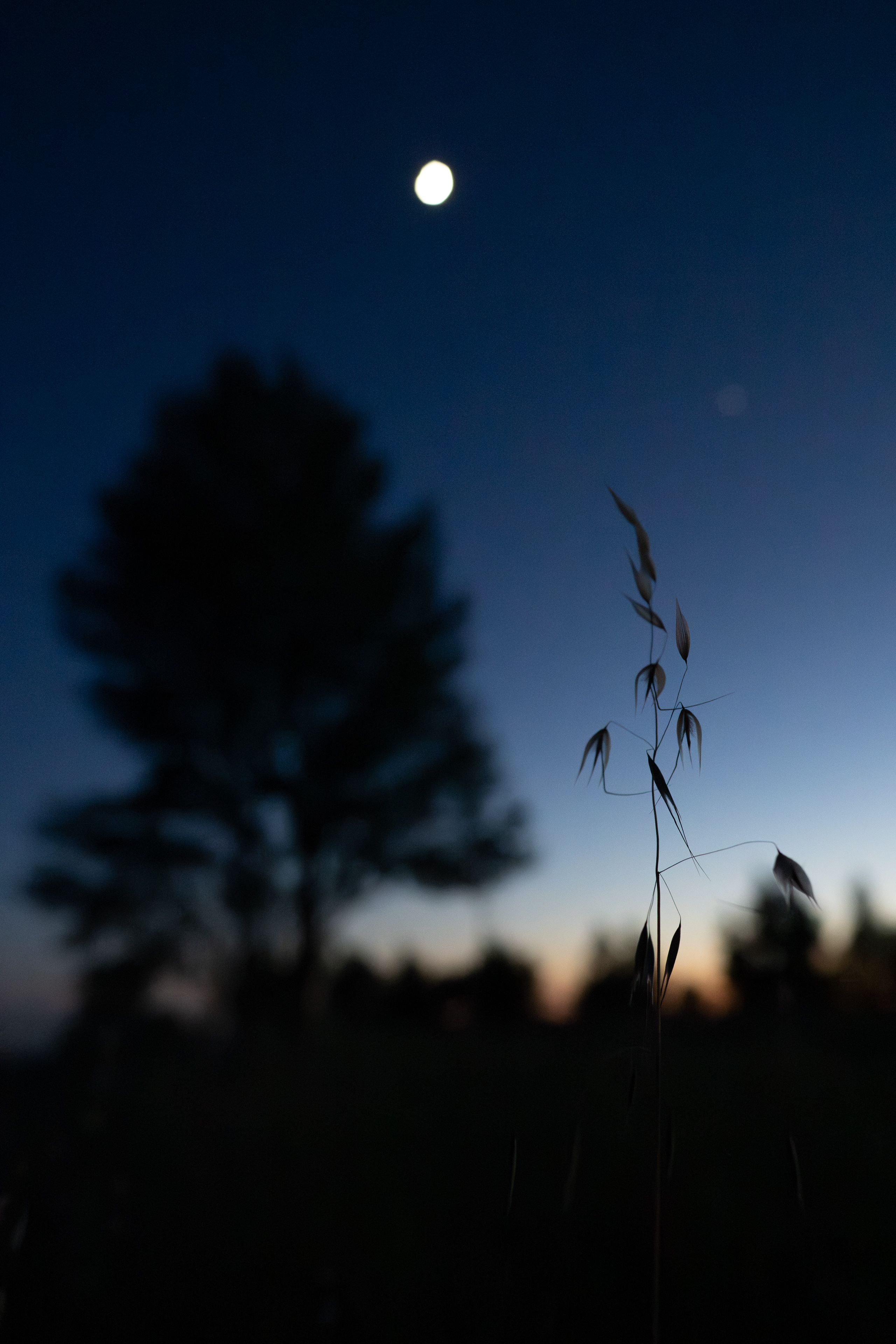Les Secrets de la Nuit 098
