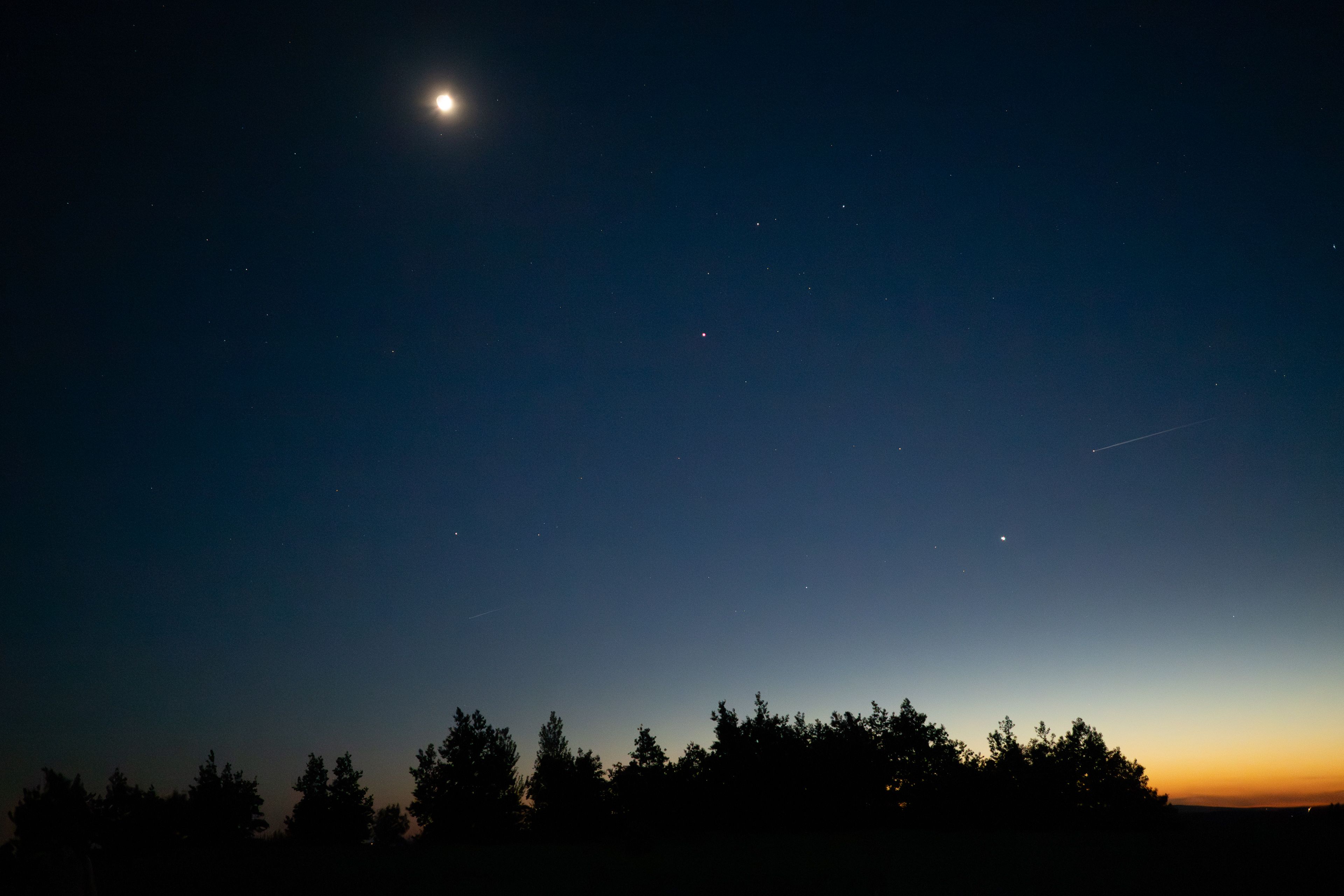 Les Secrets de la Nuit 119