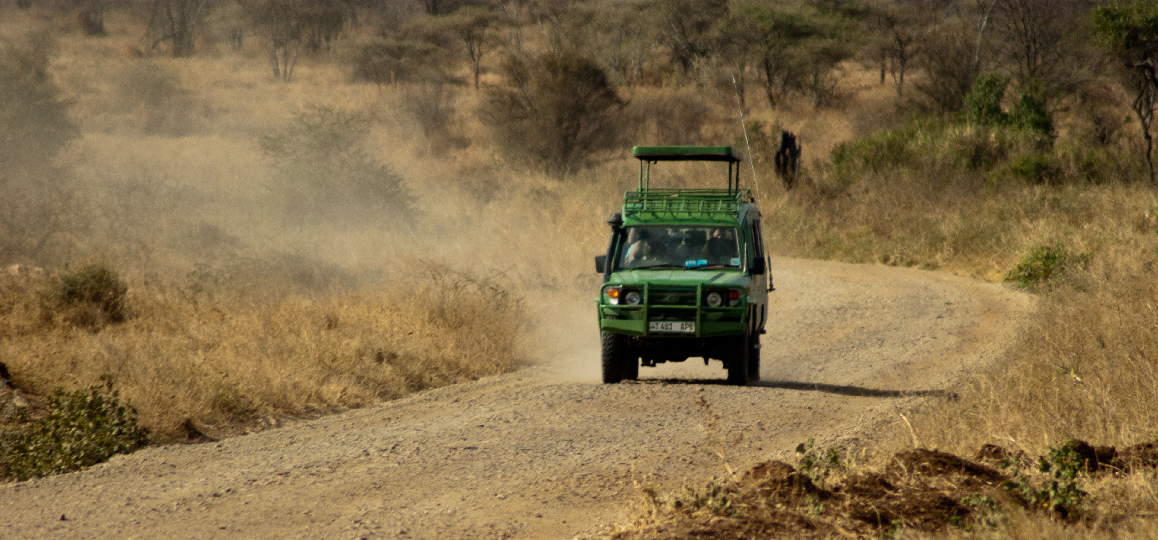 Route dans la savane