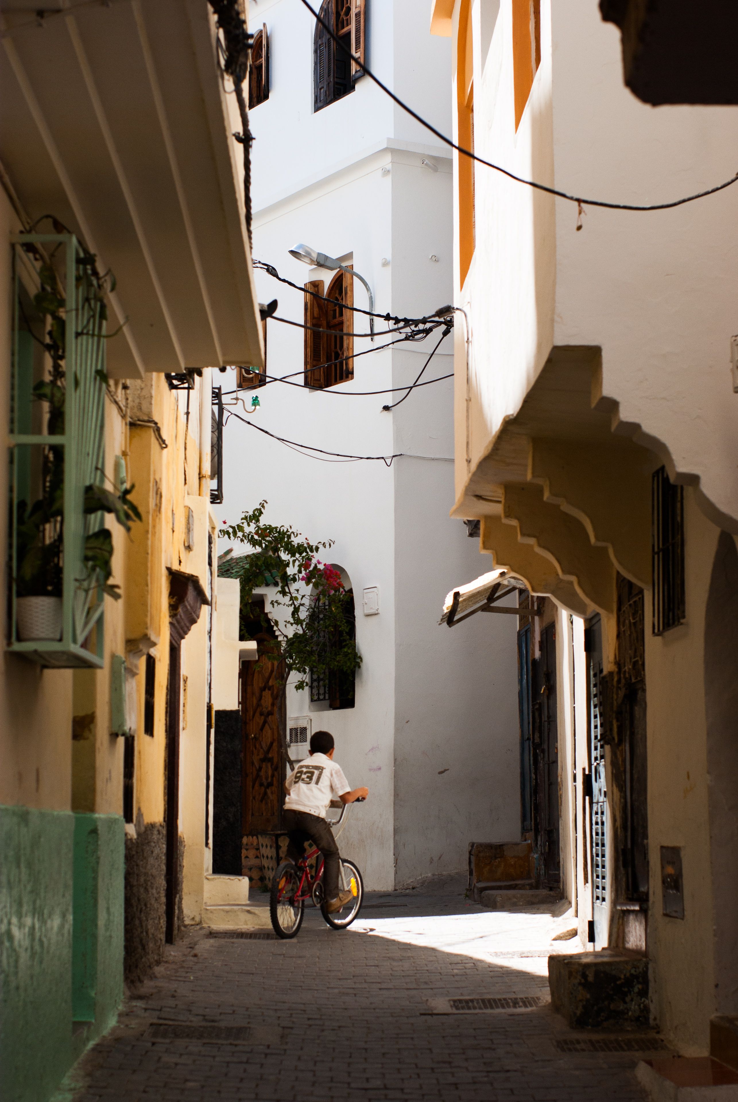 Ruelle