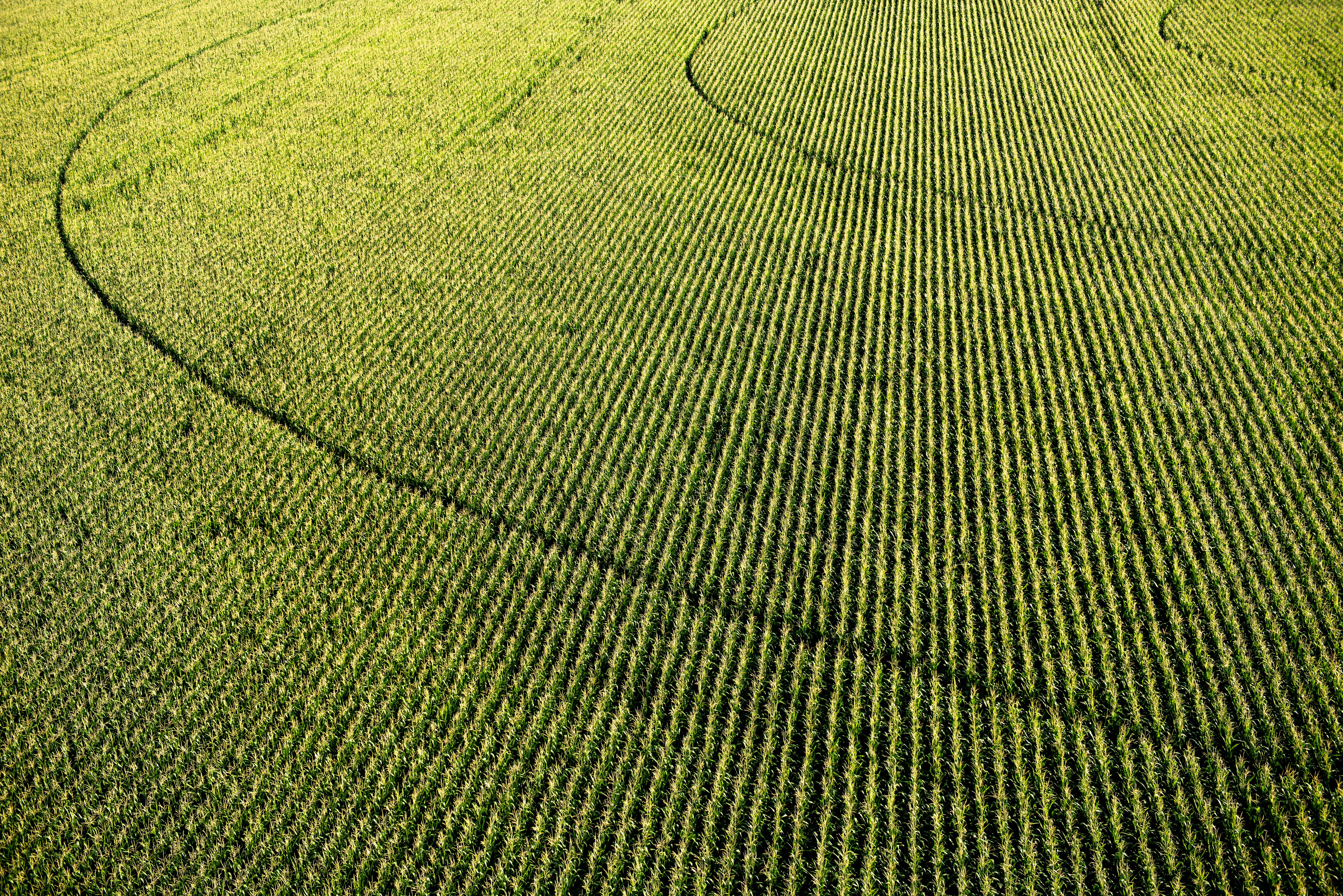 le ciel de cordes 08 45 33